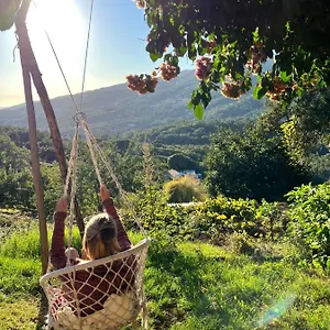Séjour à la campagne Wild Oasis - Algarve, Esgravatadouro